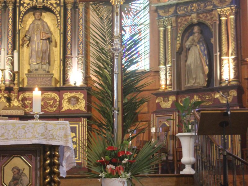 CELEBRATION ET PROCESSION DE LA MESSE DES RAMEAUX 2025